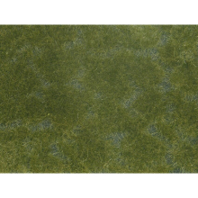 Dark Green Groundcover Foliage 12x18cm