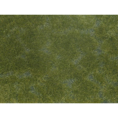 Dark Green Groundcover Foliage 12x18cm