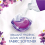 Bold Bold All in 1 PODS Washing Liquid Laundry Detergent Tablets Capsules 108Washes 54 x 2Lavender & Camomile Scent Brilliant Cleaning  In Lenor Freshness 2