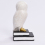 Wise White Snow Owl Heavy Duty Book Ends Decorative Unique Cute Bookends For Kids Home Office Decor Book Shelf Holder Modern Fun Resin Animal (NP1) 8
