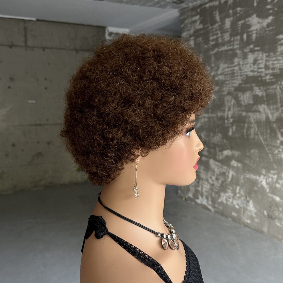 Unisex Multicoloured Short Afro Curly Wave Brazilian Human Hair Wigs Afro Puff Kinky Curly Wig For Women Full Machine Wig