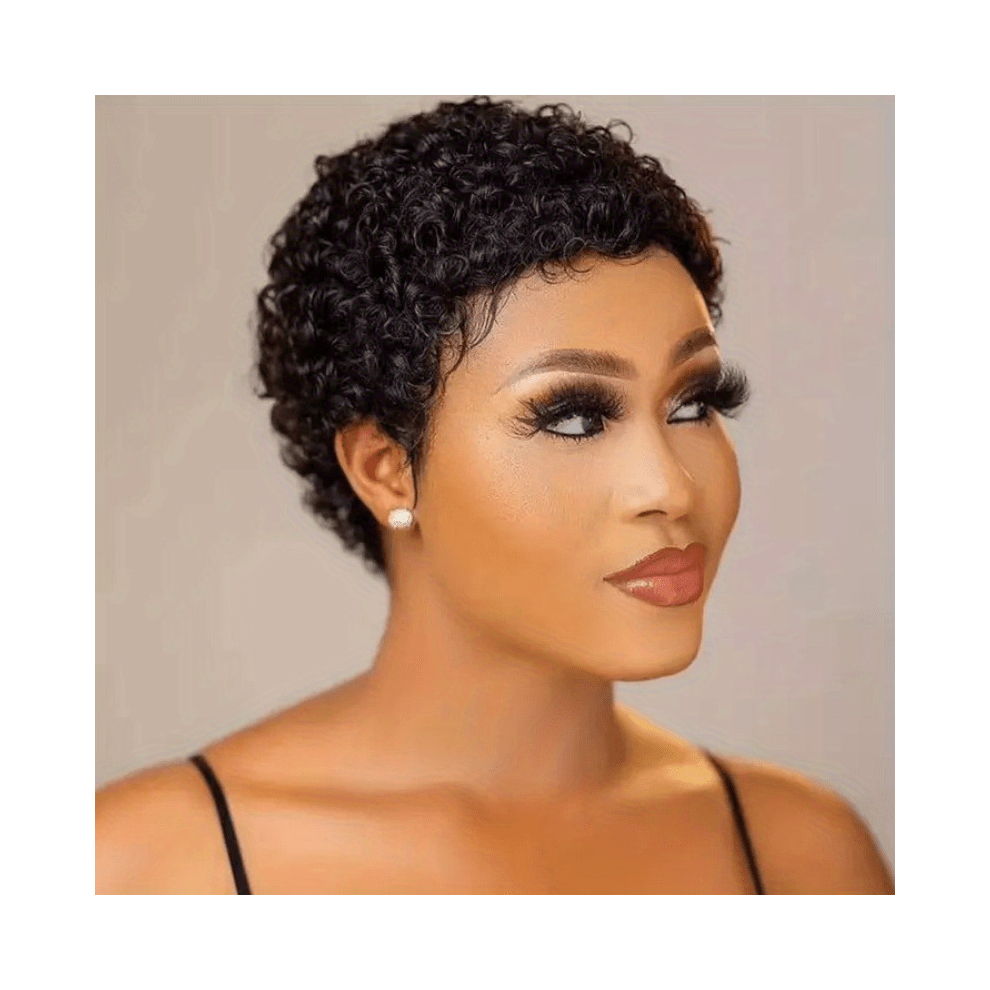 Unisex Black Human Hair Wigs 15 24 Cm Short Pixie Cut Wigs For Women Short Curly Wavy Human Hair Wigs Glueless Human Hair Wigs For Daily Party Use