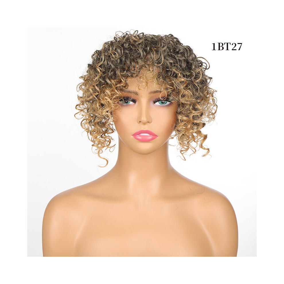 Unisex Multicoloured Short Curly Wigs Synthetic Curly Topper For Women 3 Clips Short Toupee Hairpieces Party Cosplay Wigs