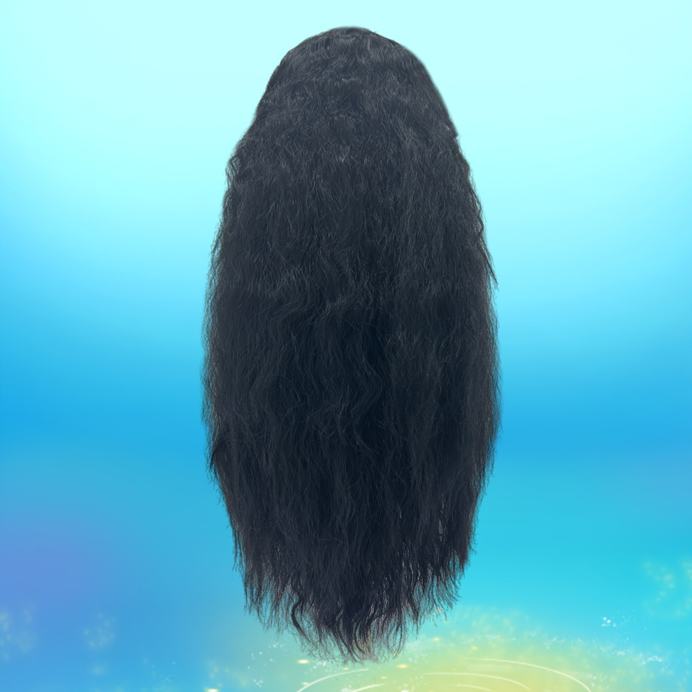 Long Afro Curly Synthetic Wig Beginners Friendly Natural Looking For Daily Use 66 04cm