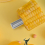10pcs Corn Cob Holders Stainless Steel Corn On The Cob Skewers Fruit Food Forks Corn Forks Prong 3