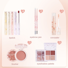 Makeup Gift Set Eyeshadow Eyebrow Blusher Concealer Lipstick All in One Makeup Kit Perfect For Beginners Gift For Valentines And Birthday
