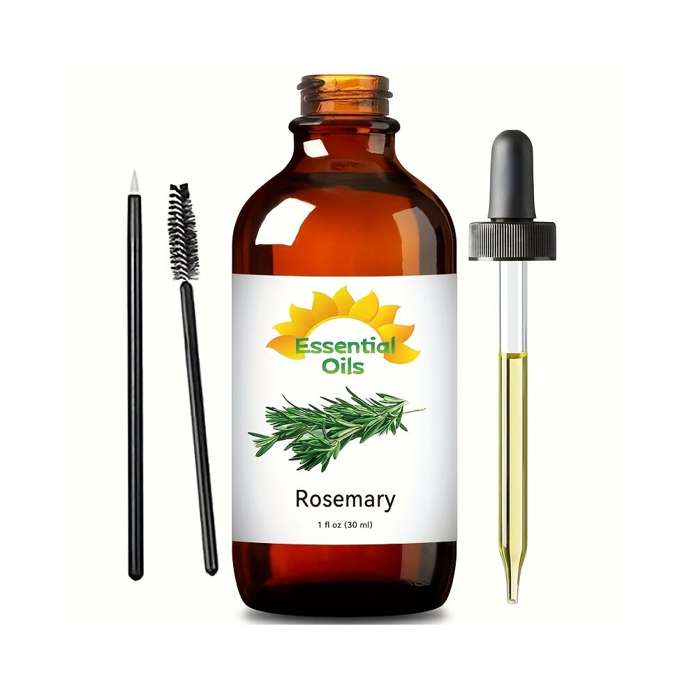 30ml Rosemary Essential For Hair Care 100 Pure Hair Essential Suitable For Daily Hair Care