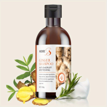 Ginger Refreshing Hair Shampoo 250g Control Cleansing and Refreshing Hair Care Product for All Hair Types