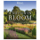RHS A Nation in Bloom 2