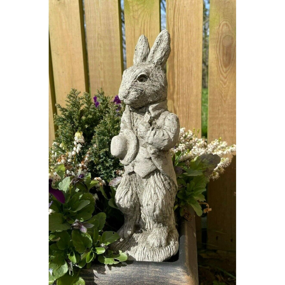 Mini Peter Rabbit Stone Statue | Beatrix Potter Animal Garden Ornament