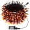 82ft 200  D Orange String Lights, 8 Modes, Timer 3