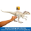 Jurassic World Jurassic World Indominus Rex Dinosaur Toy with Lights, Sounds, Chomp and Side to Side Neck Motion, Camouflage N Battle I-Rex, Digital Play, HNT64 5
