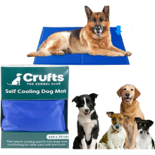 XL Crufts Pet Selbstkühlende Matte Haustier Pad Bett Hält Hunde kühl 110 x 70cm