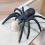 Prank Spider Surprise Box Rubber Spider Prank Box Tricky Spider Wood Box 4