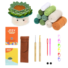 Crochet Kit for Beginners - 6Pcs Coasters in a Plant Pot Crochet Start Kit,Beginner Crochet Kit with Crochet Hooks, Yarn