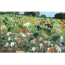101 Pooping Puppies 101 Dog Poop Jigsaw Puzzle 1000 Sheet Plane Puzzle Decompression Ll