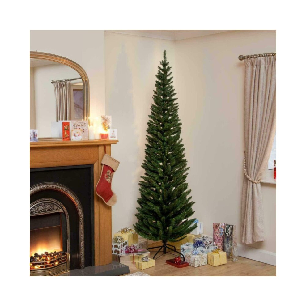 Garden Store Direct 8Ft Pencil Pine Green