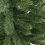 Garden Store Direct Garden Store Direct Pencil Pine Christmas Tree Green 7ft 2