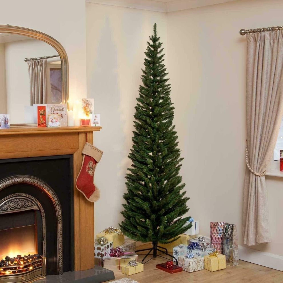 Garden Store Direct 4Ft / 120Cm Pencil Pine Green