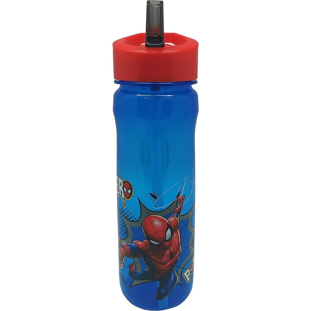 MARVEL 1325 1698 Spider-Man Hero Reusable Water Bottle, polypropylene, Blue and red, 600ml 