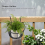 Metal Flower Holder Shelf Stand Hanging Pots Basket Plant Garden Wall Storage 2