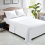 Imperial Rooms (Single (175x275 cm)) Egyptian Cotton Flat Sheet Single Double King Size 1