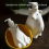 1pcs Bear Divided Bottling Hand Sanitizer Bottle Polar Bear Large Capacity Compression Bath Bottle 2