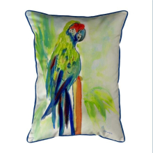 20 x 24 in. Green Parrot Extra Large Zippered Pillow
