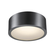 4.02 x 11.03 x 11.03 in. Edinburg Iron Ceiling Light, Black