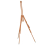 VidaXL vidaXL Easel Stand Wooden Artist Easel Floor Studio Easel Solid Beech Wood 1
