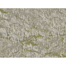 Wrinkle Rocks Seiser Alm 45x25.5cm