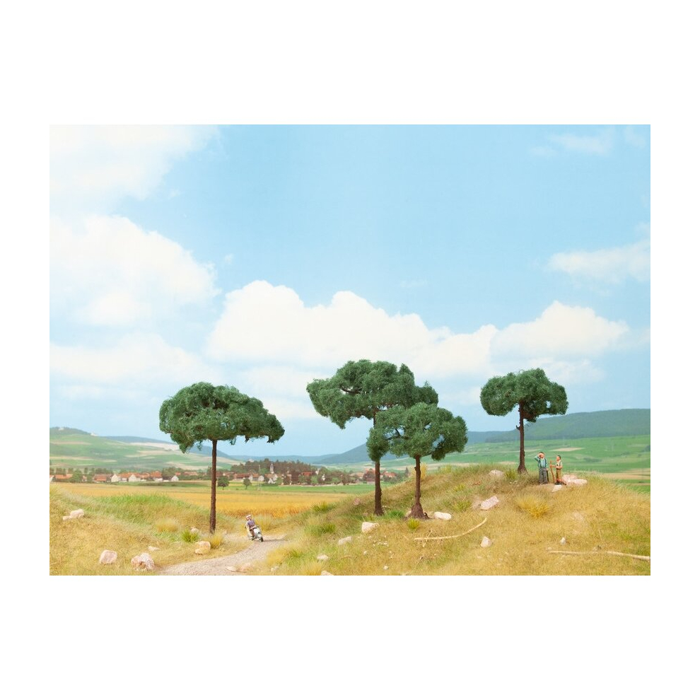 Stone Pine Trees (2)