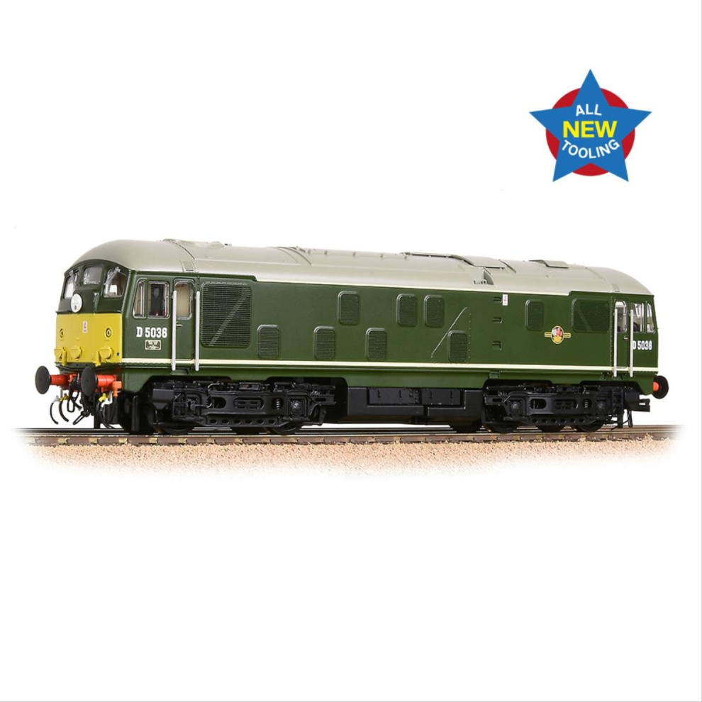 Class 24/0 D5036 BR Green SYP Disc Headcode