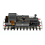 Terrier A1X 32650 BR Lined Black Early Crest 4