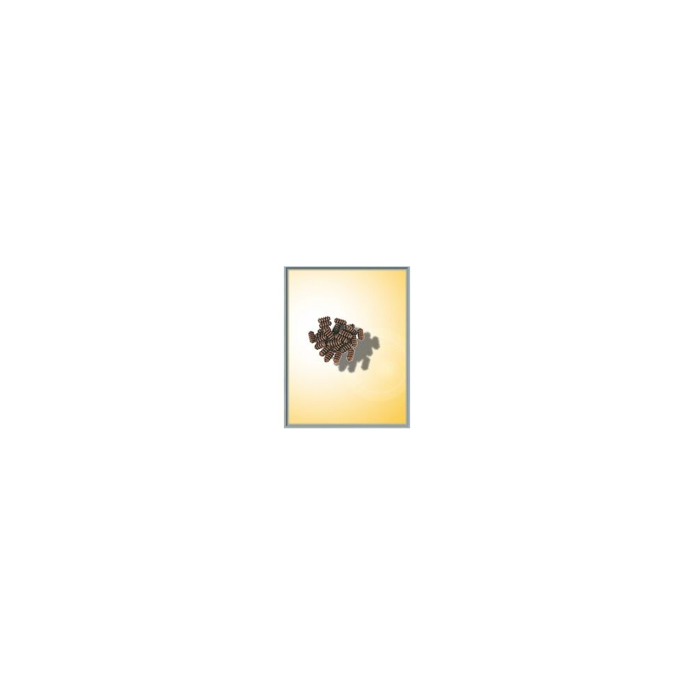 Catenary Self-Made Insulators (25) 4026602041872