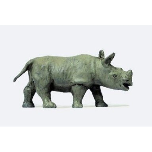 African Rhinoceros Calf