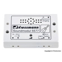 Street Guitarist Sound Module