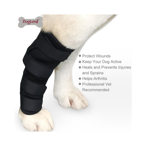 (M) Neoprene Dog Pet Leg Wrap Brace 2
