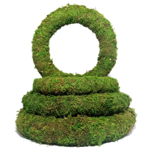 (10"(25cm), 5) Moss Wreath Rings | 8", 10" & 12"