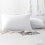 (Plain Pillowcases Pair: 50X75cm) Quilted Bedspread Comforter Bed Throw Single Double King Super King Size Bedding Set with Pillowcases 1