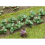 Tobacco Plants 19mm (14) 1