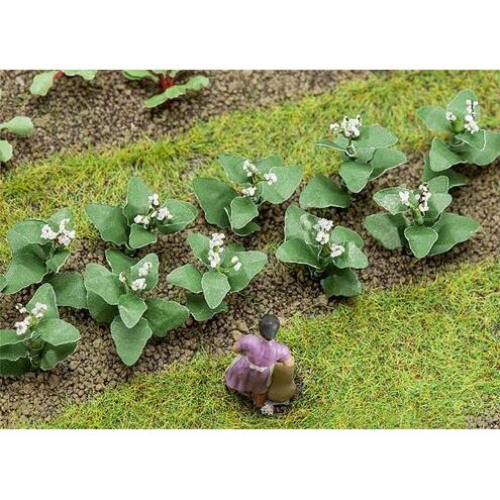 Tobacco Plants 19mm (14)