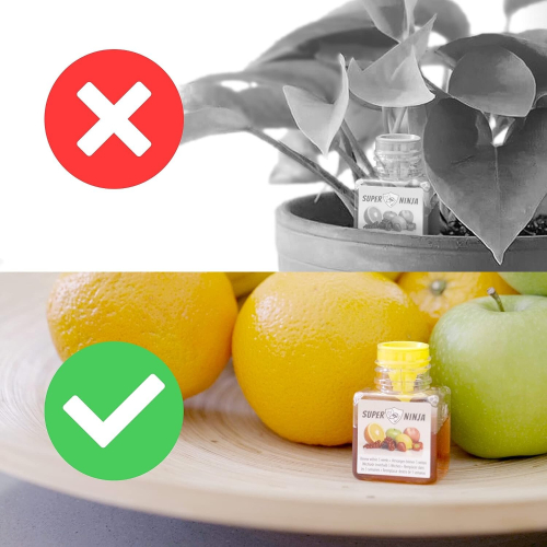 Super Ninja Fruit Fly Killer 2 Pack - Environmentally Responsible Highly Effective Ecological Traps Indoor User Friendly Up to 3 Weeks per Bottle 1