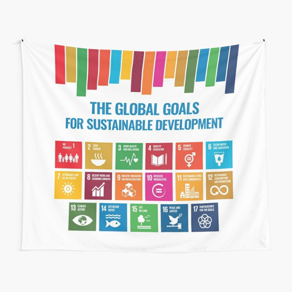 Tapestry 60x50inch The Global Goals for Sustainable Development - UN Sustainable Development Goals SDGs 2030 Wall Hanging Art DÃ©cor Living Room