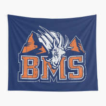 Tapestry 60x50inch BMS - Blue Mountain State Wall Hanging Art Décor Living Room
