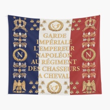 Tapestry 60x50inch Napoleonic French flag of the Chasseurs A cheval de la Garde Wall Hanging Art Décor Living Room