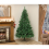 Garden Store Direct Colorado Spruce Christmas Tree 6ft (180cm) - Green 2
