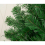 Garden Store Direct Colorado Spruce Christmas Tree 6ft (180cm) - Green 6