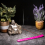 (Half Moon - Pink) Incense Stick Holder Flat Burning Joss Sticks Ash 6