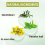 3pcs Herbal Lung Health - Lung Cleanse 4